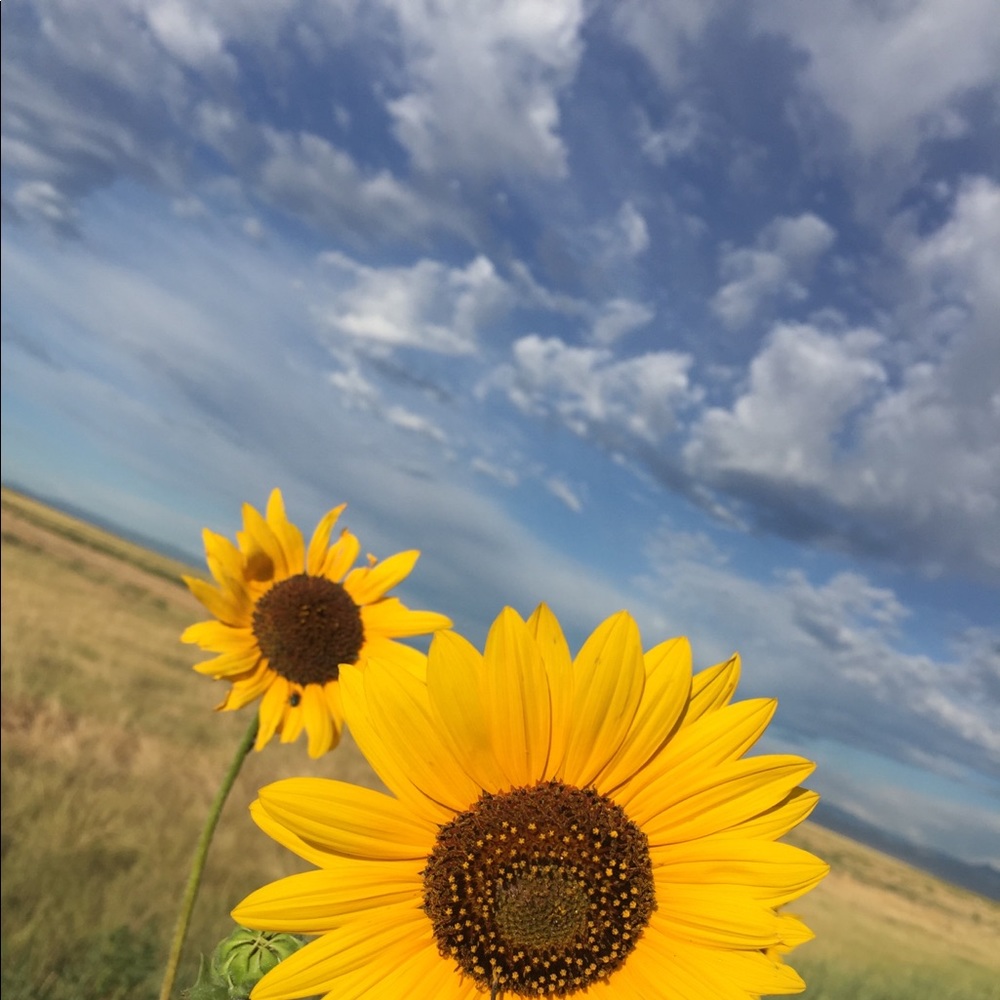 Meet your Posher, Katelynne